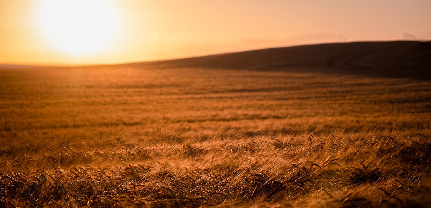 Kortmark med aftensol