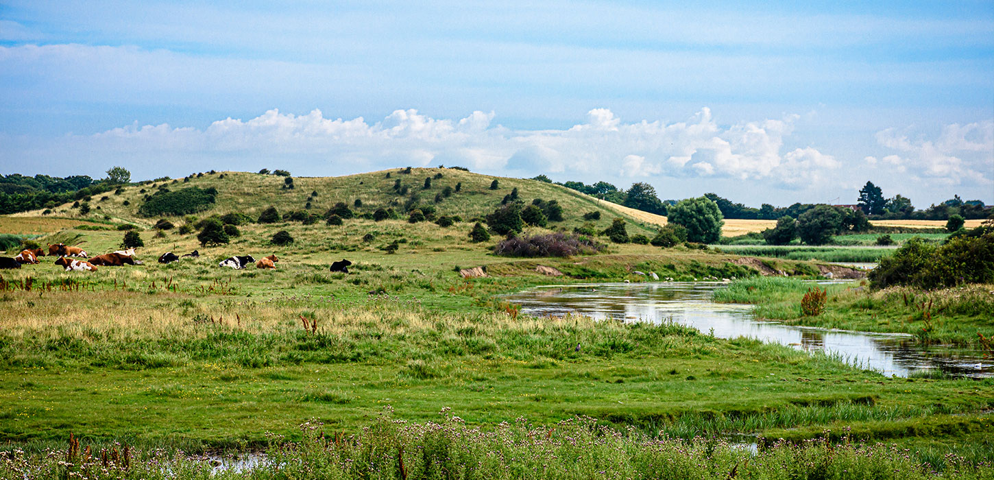 Vand, bakker og vild natur på Langeland