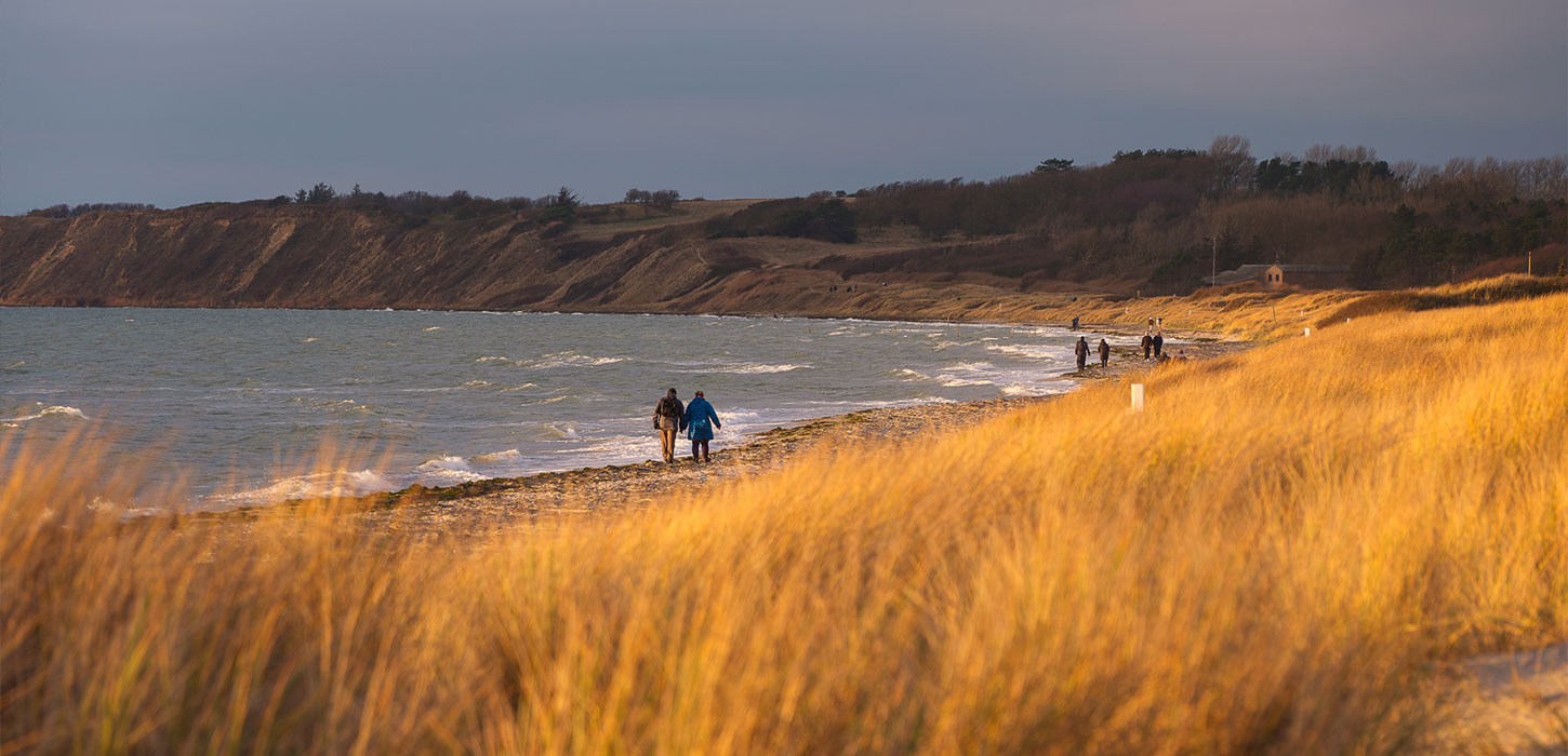 Vandretur på Ristinge Strand med Ristinge Klint i baggrunden
