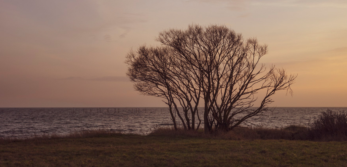 Øhavsstien Overnat langs kysten