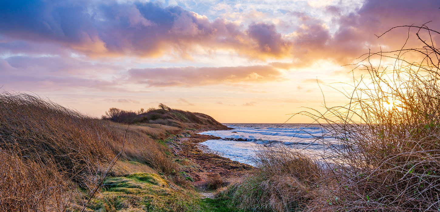 Kysten ved Ristinge ved solnedgang