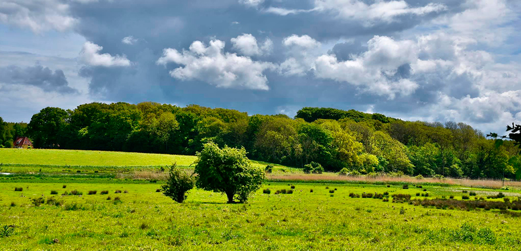 Kig ud over vejlen i Rudkøbing