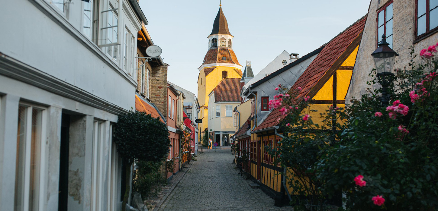 A cobblestone street with colourful houses,  wildflowers and roses in Faaborg