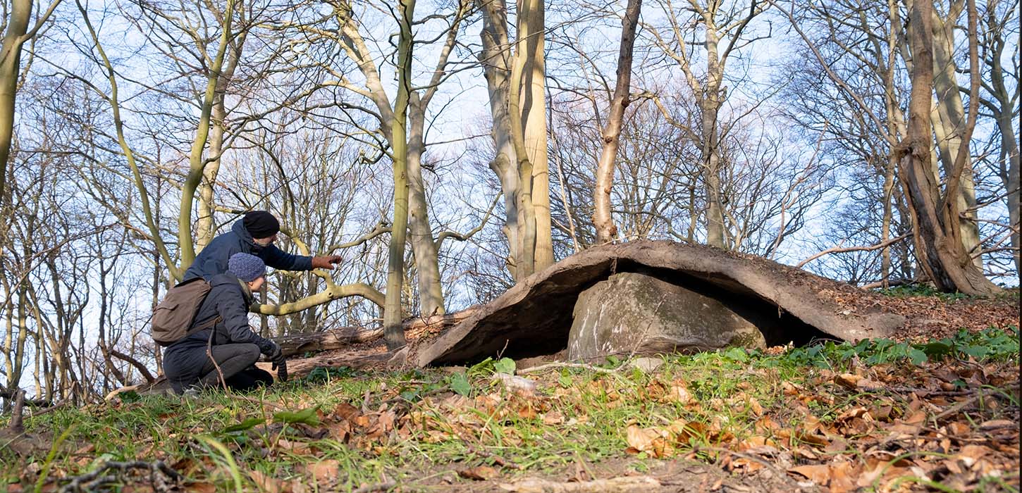 Hidden Power i TICKON