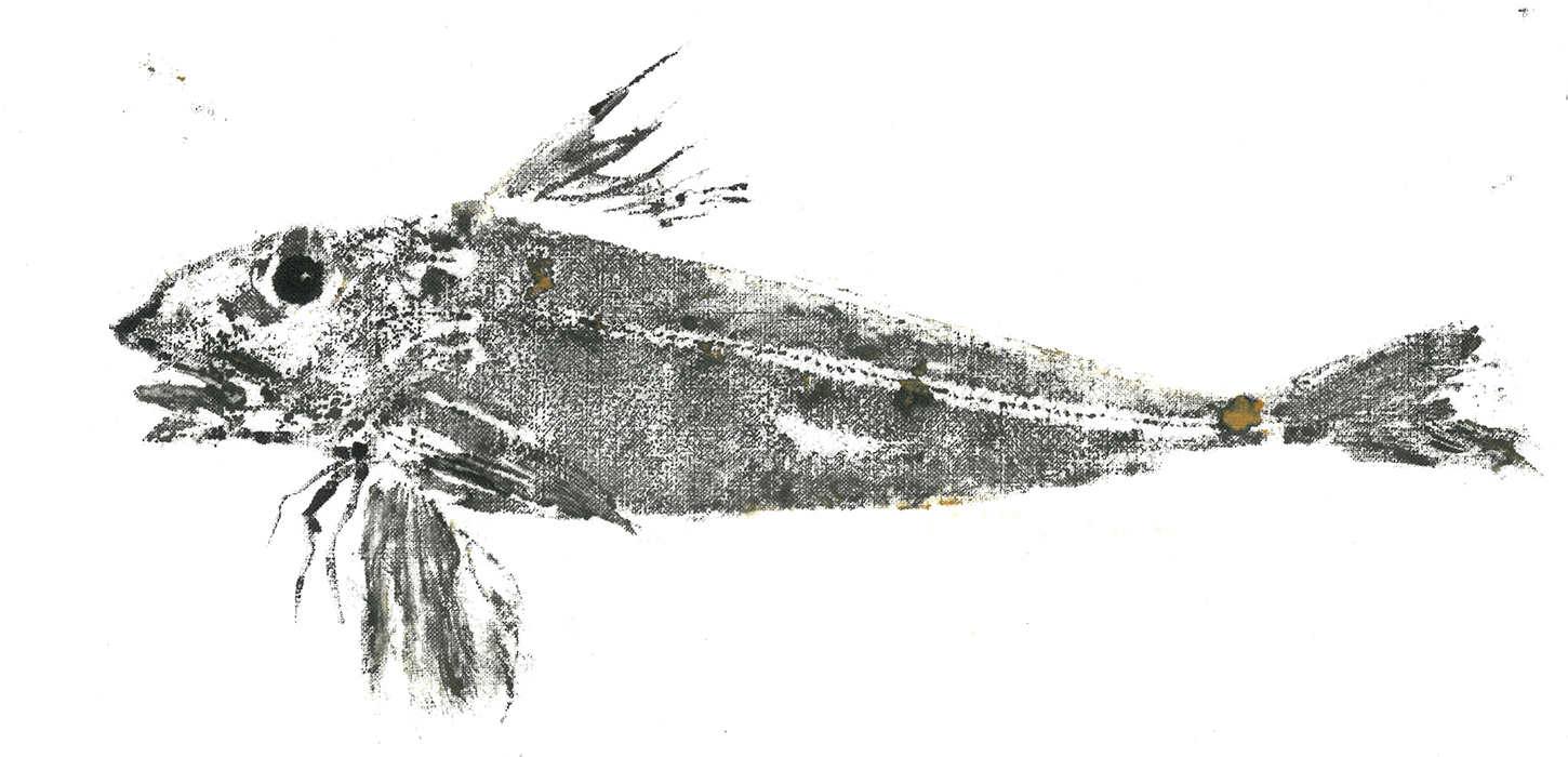 Tryk af Linea Hansen